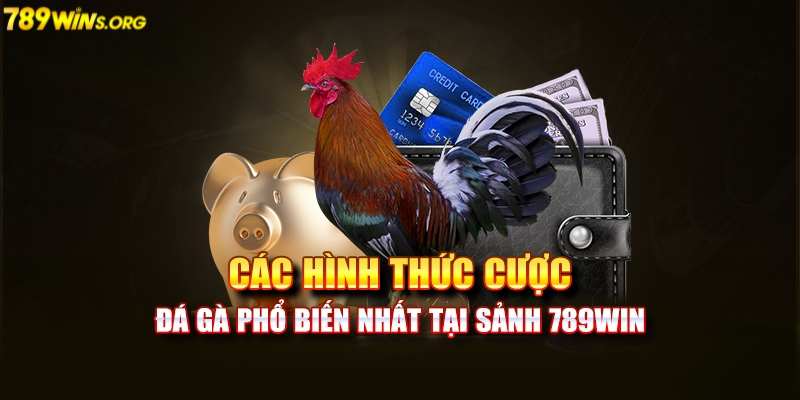 Các hình thức đặt cược tại đá gà 789win