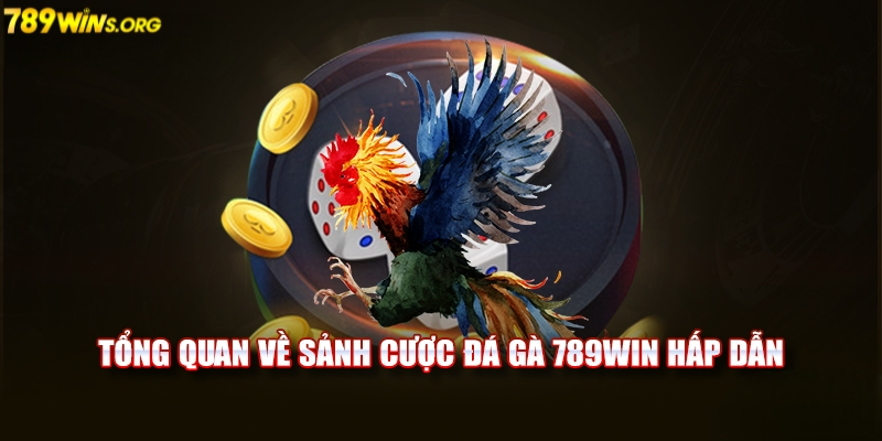 Đôi nét về sảnh đá gà 789win