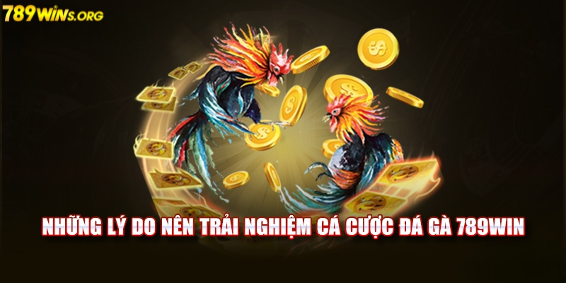 Vì sao nên tham gia cá cược tại đá gà 789win?